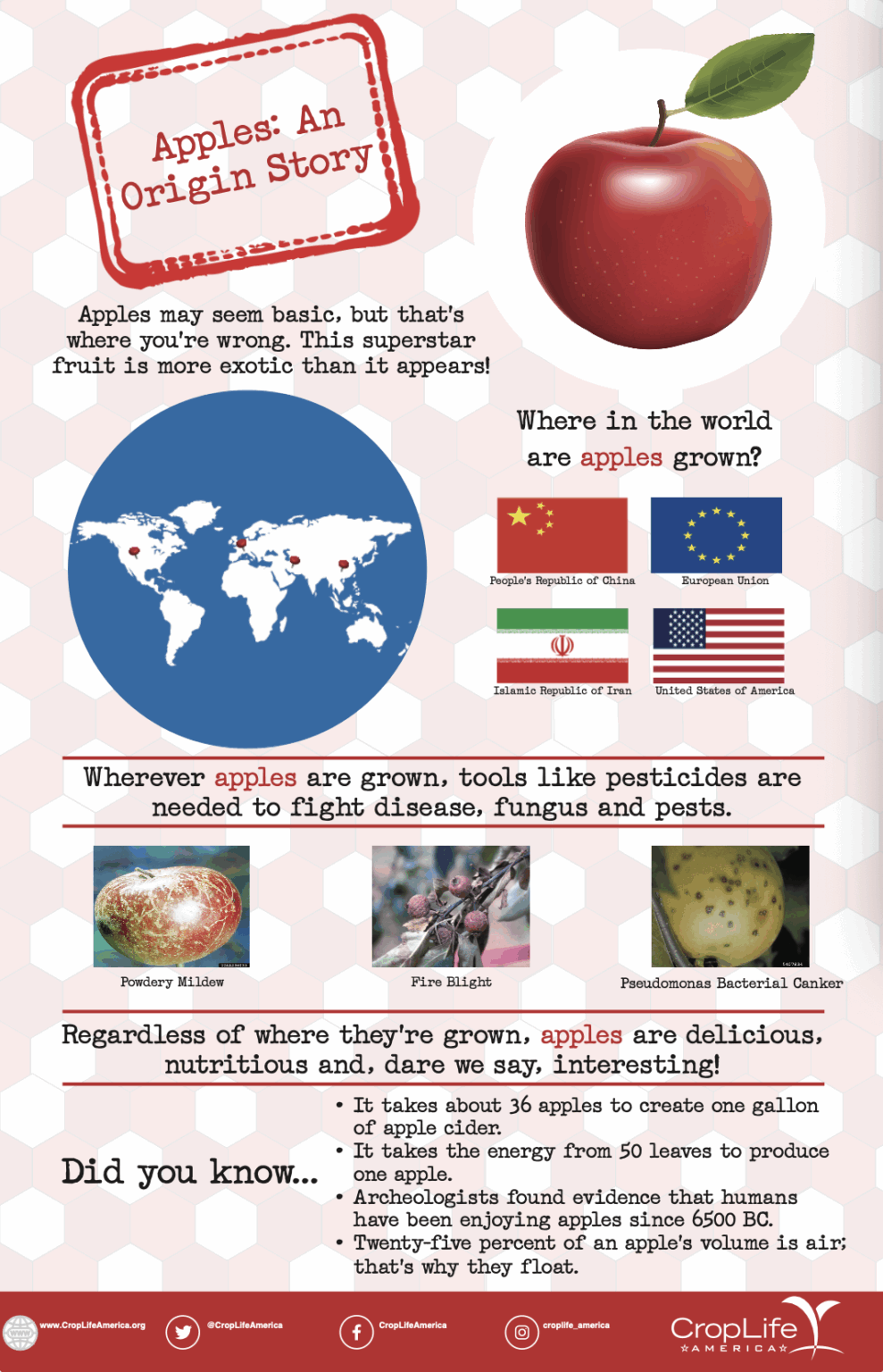 Apples: An Origin Story - CLA