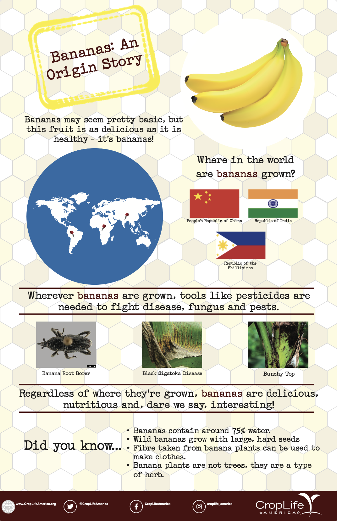 Bananas: An Origin Story