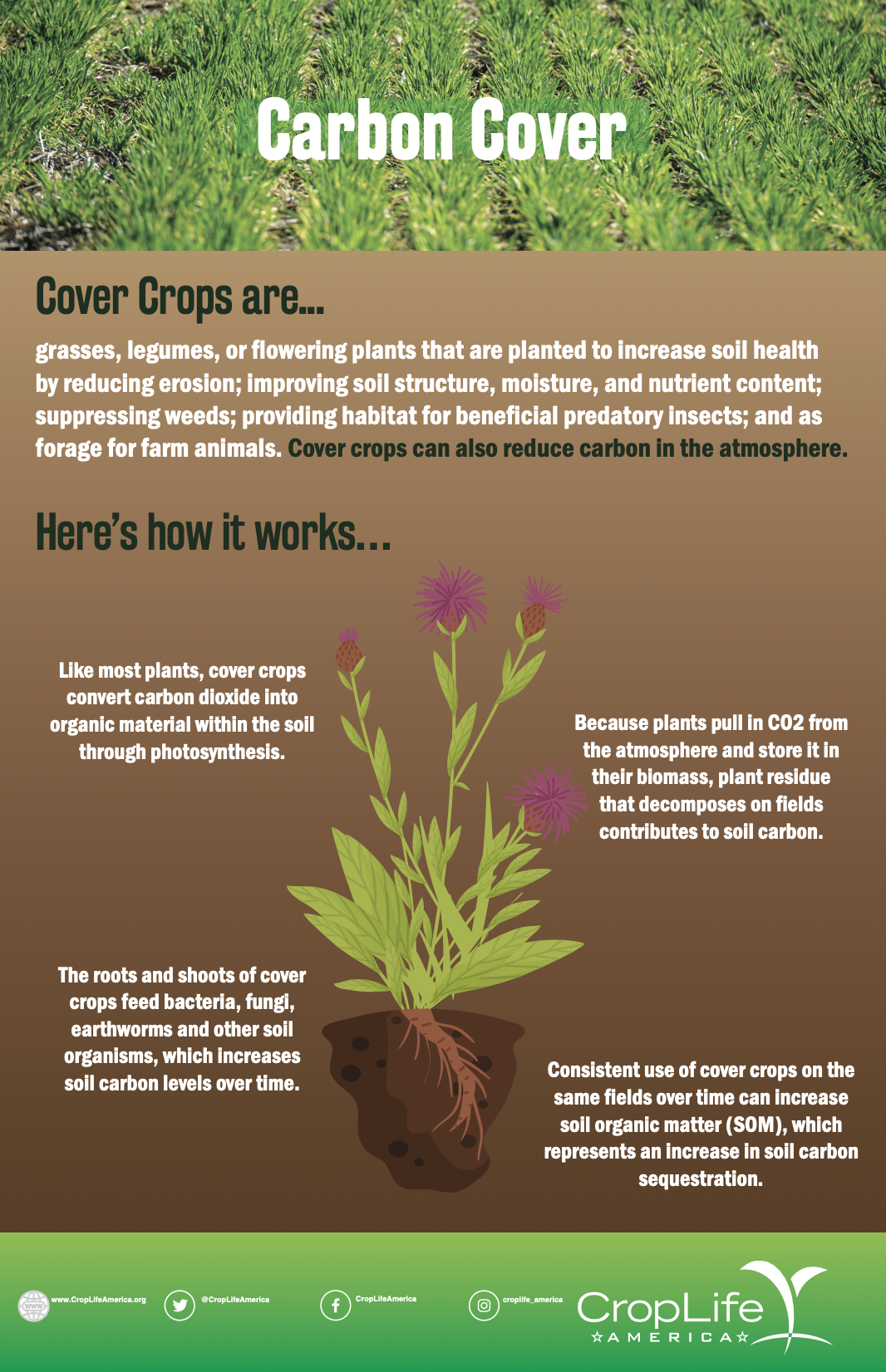 Carbon Cover-How it works