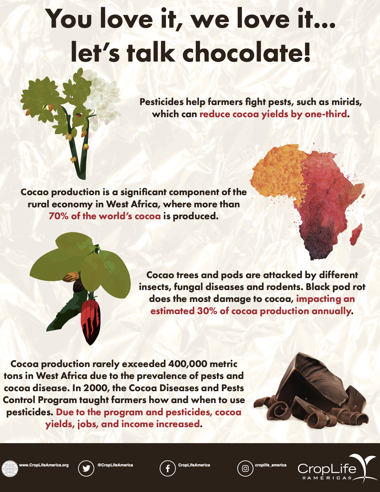 Chocolate Infographic