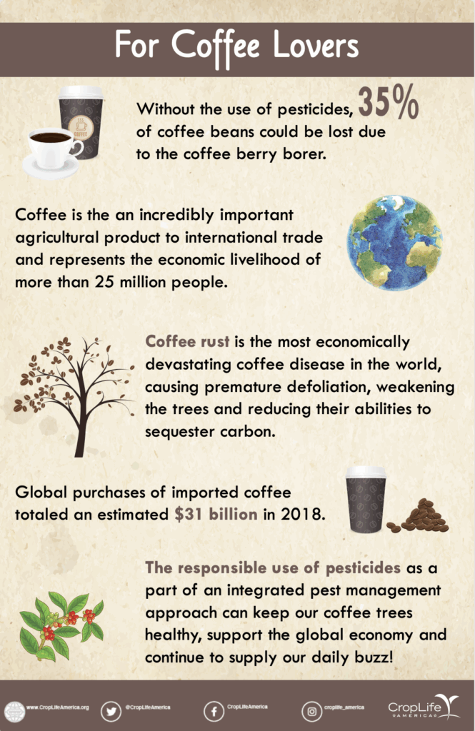 Coffee Lovers Infographic