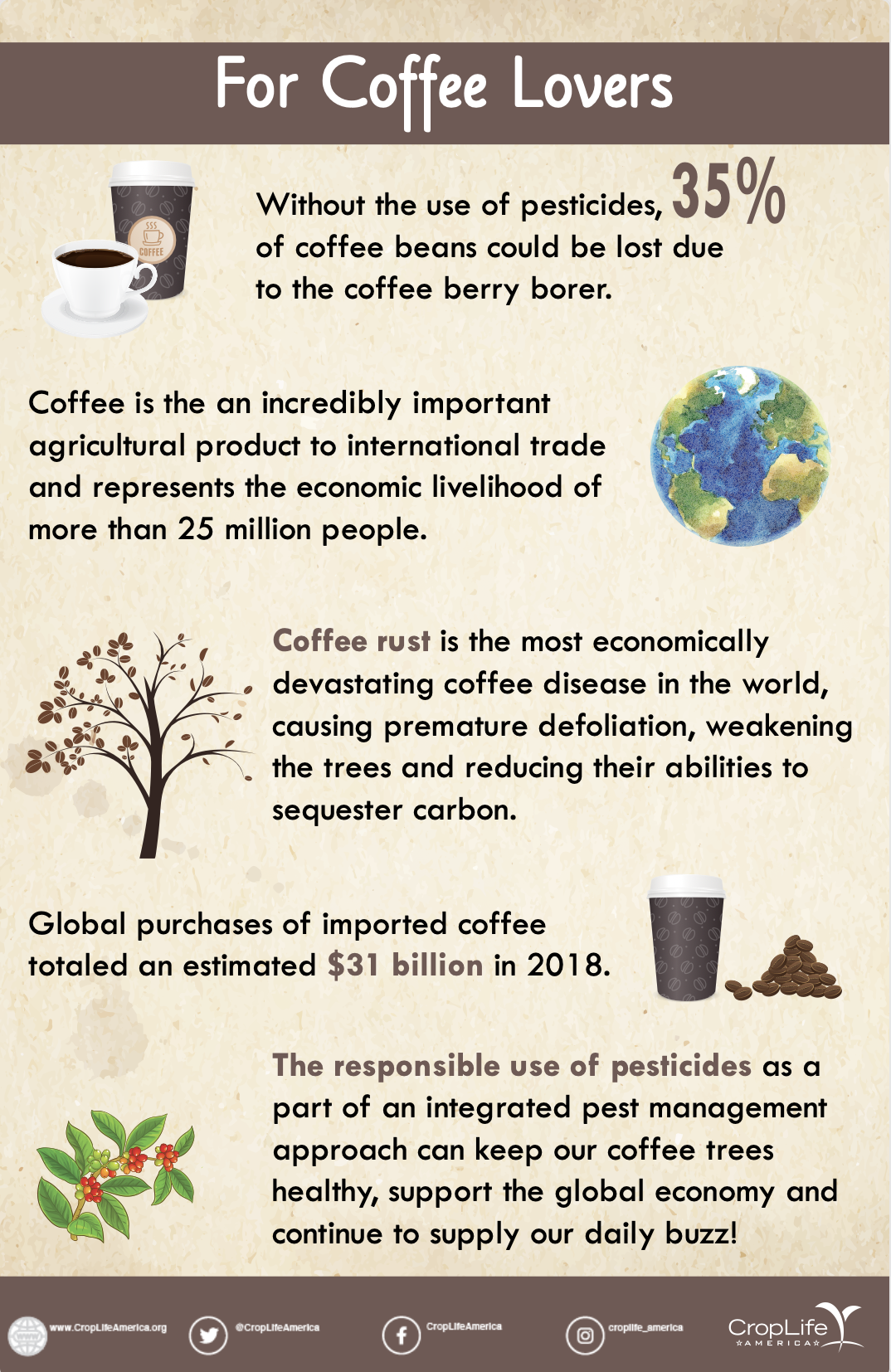 Coffee Lovers Infographic