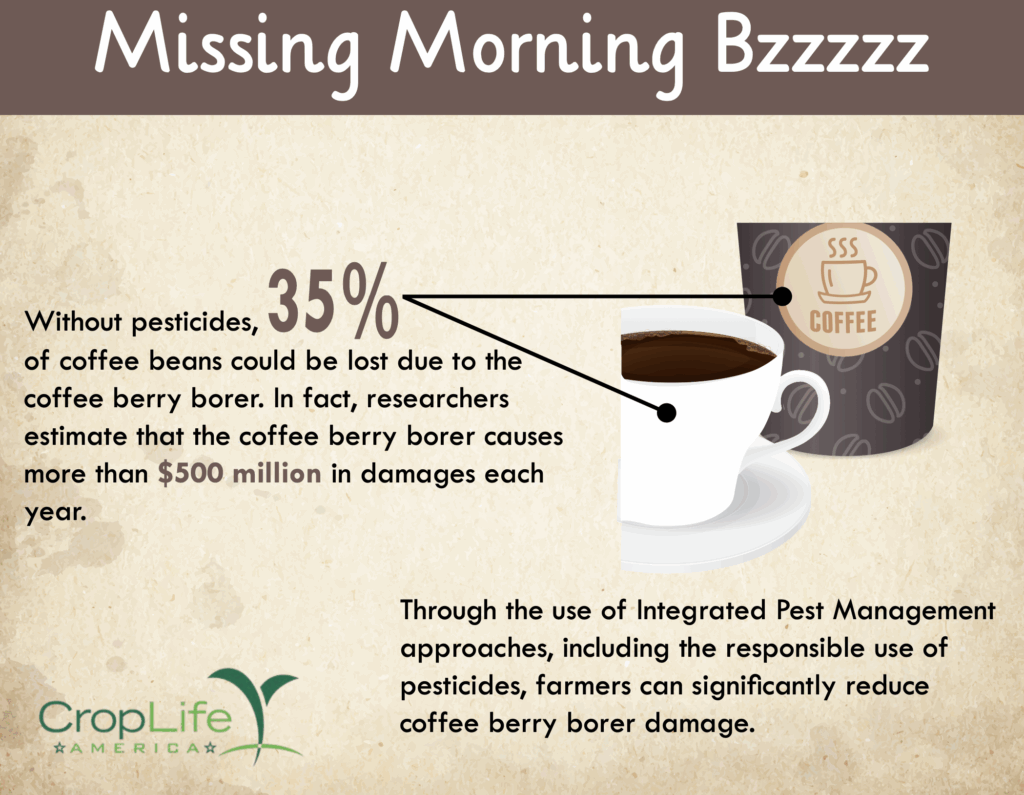 Coffee beans and pest management