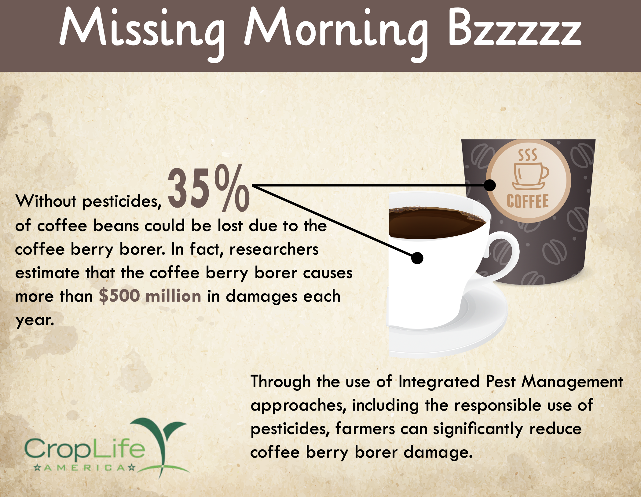 Coffee beans and pest management