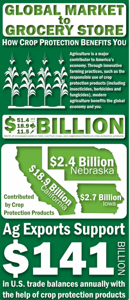 Global Market to the Grocery Store