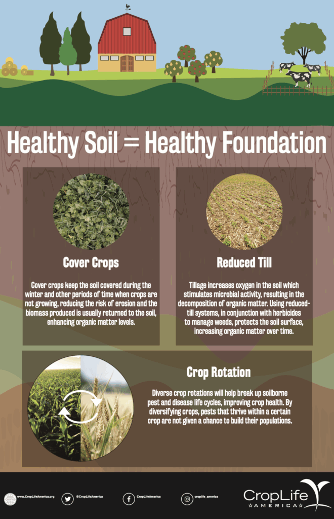 Soil Health Tips: A healthy foundation