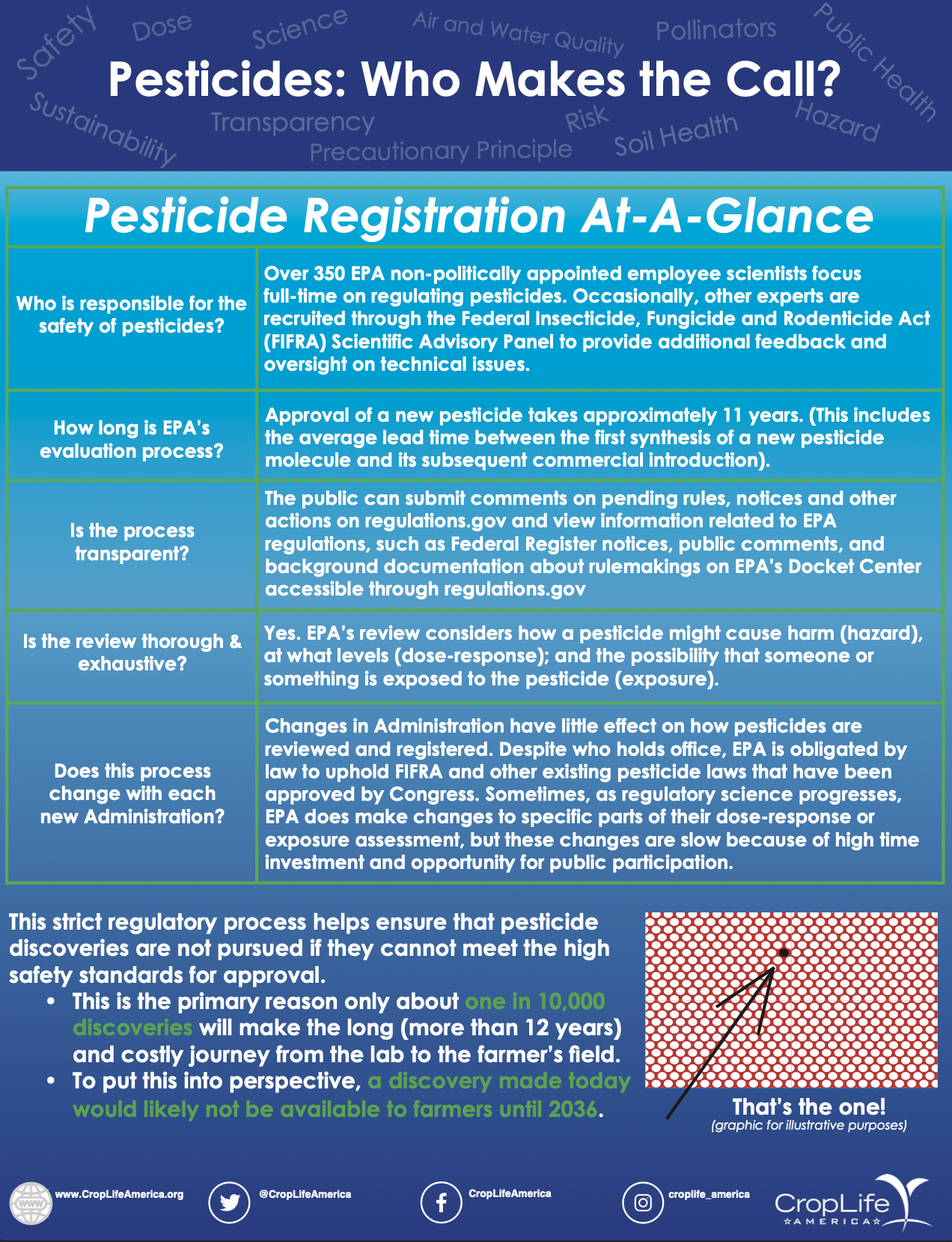Pesticide Registration Process