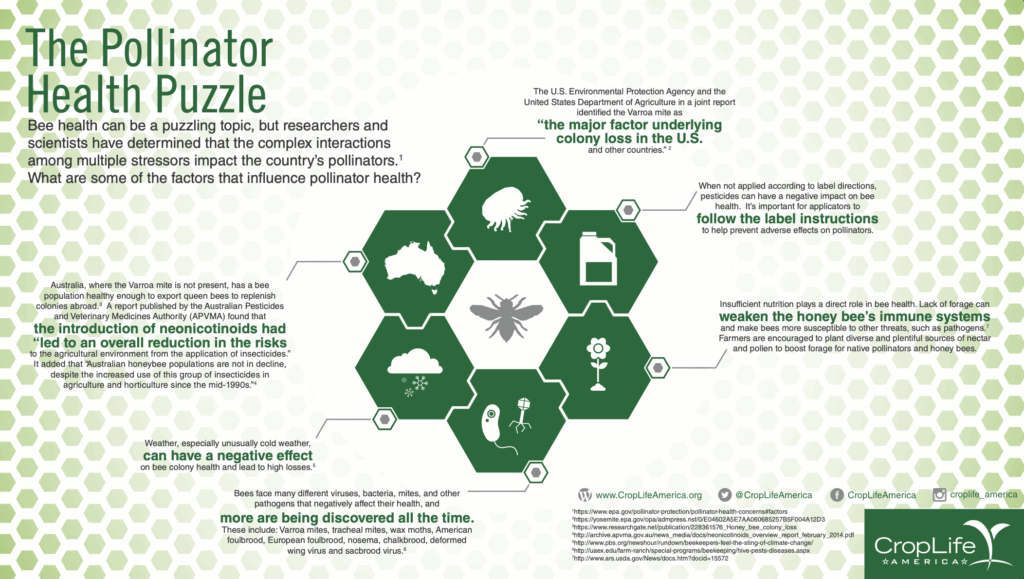 Pollinator Health Puzzle