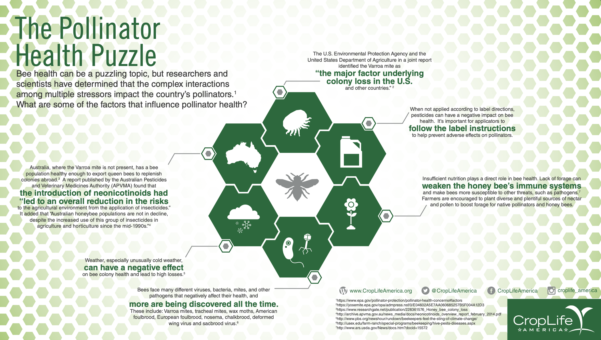 Pollinator Health Puzzle