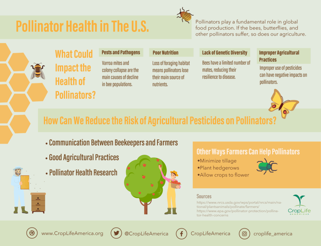 Pollinator Health in the US