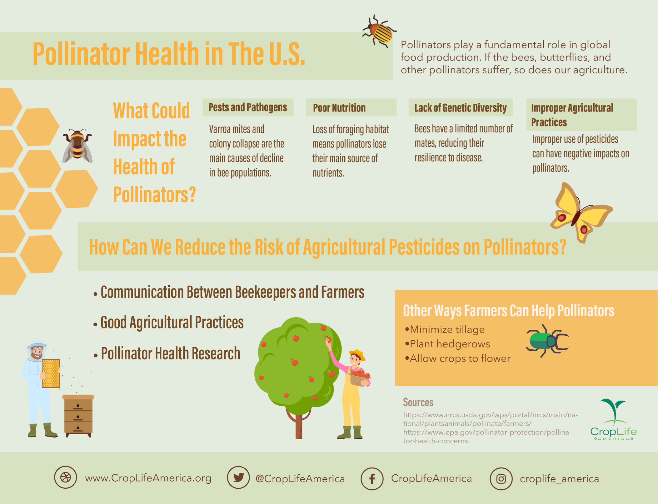 Pollinator Health in the US