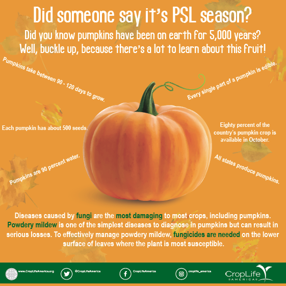 Pumpkin Fact Sheet