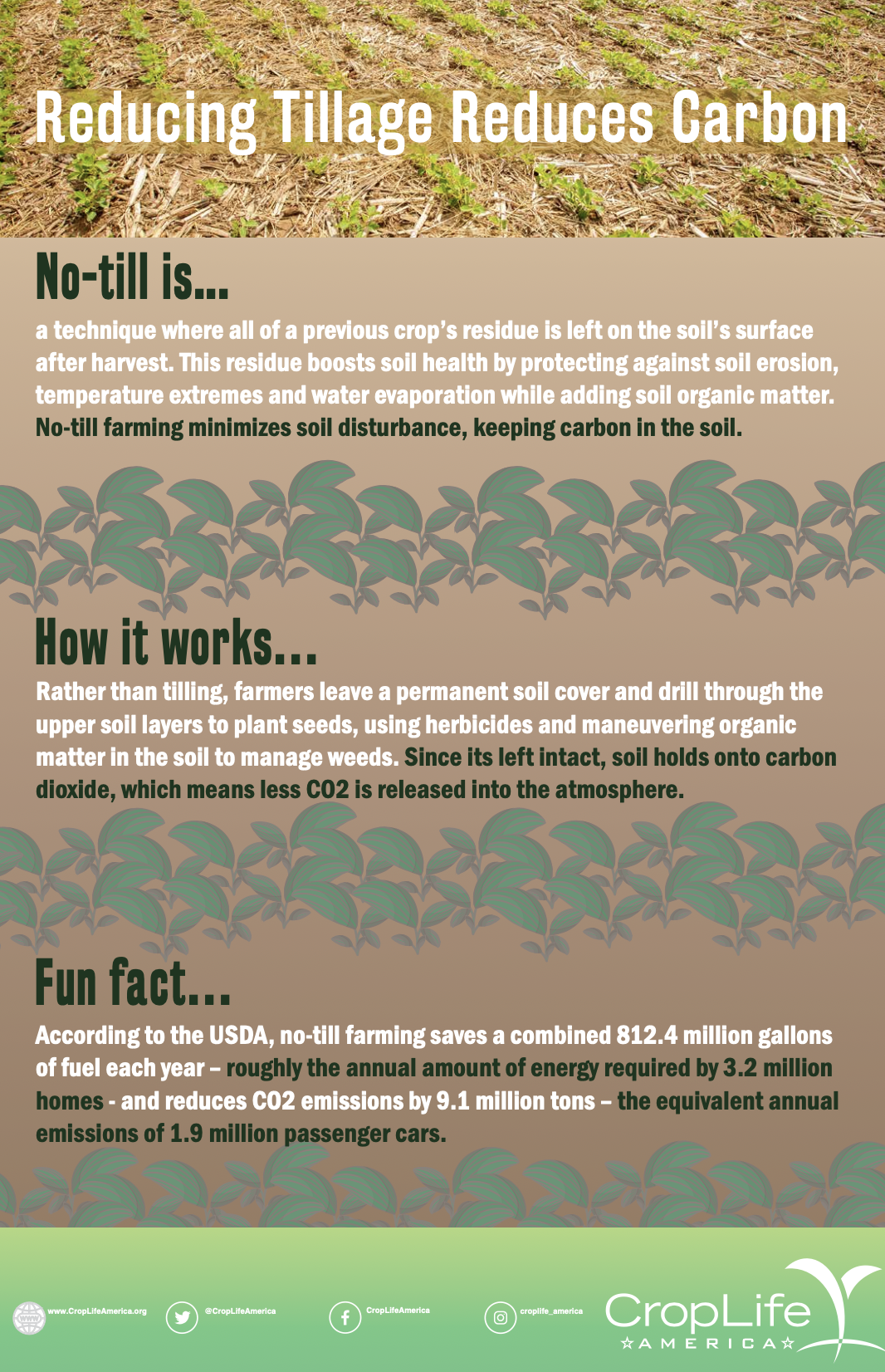 Reducing Tillage Reduces Carbon