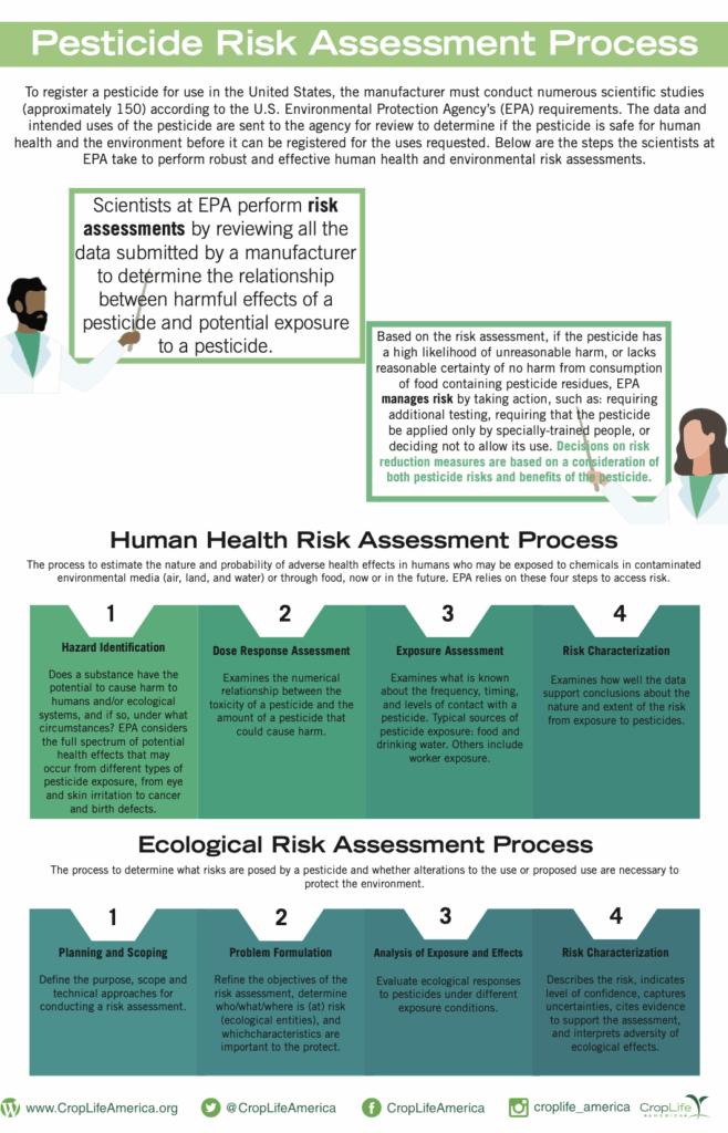 Risk Assessment Infograph