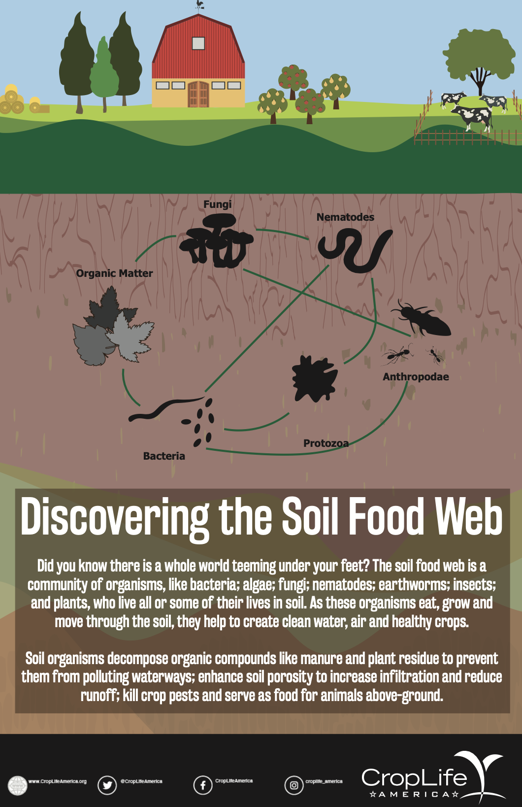Soil Health and Farm Food Web