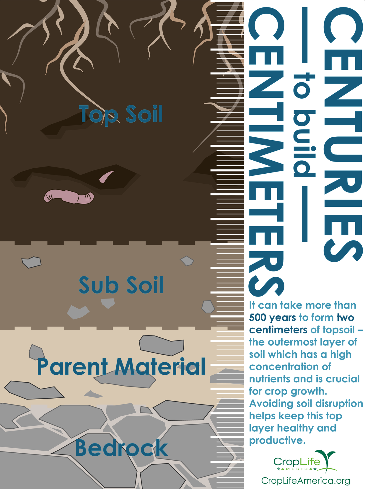 Topsoil Development Infographic