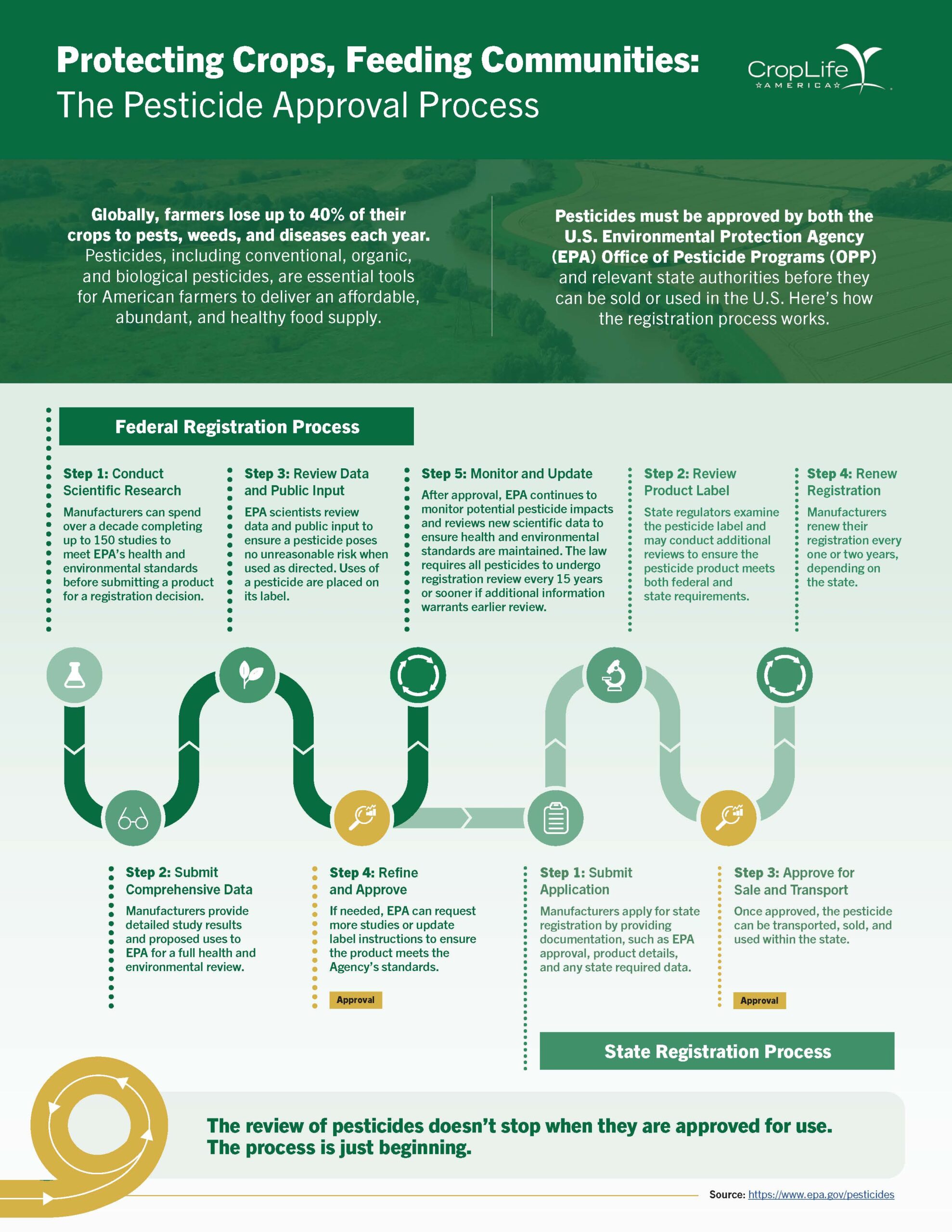 Infographic visually outlining the U.S. pesticide approval process, showing steps for both federal and state registration including scientific research, data submission, EPA and state review, label and public input evaluation, approval, monitoring, and periodic reviews, with key facts on crop protection, regulatory roles, label requirements, and compliance enforcement.