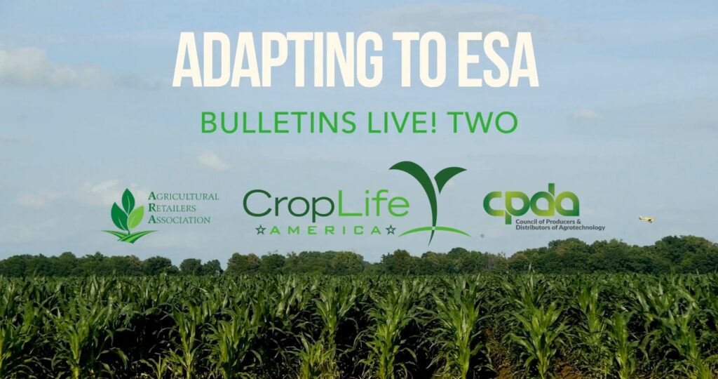 Adapting to ESA: Bulletins Live! Two